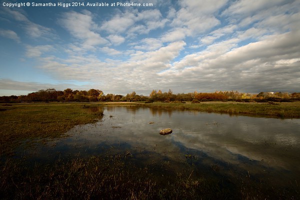  Greenham Common - Autumn Picture Board by Samantha Higgs