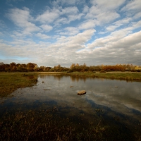 Buy canvas prints of  Greenham Common - Autumn by Samantha Higgs