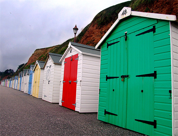 Beach Huts - Seaton Picture Board by Samantha Higgs