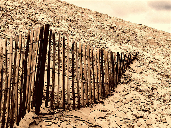 Fence - Dune of Pilat Picture Board by Samantha Higgs