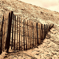 Buy canvas prints of Fence - Dune of Pilat by Samantha Higgs