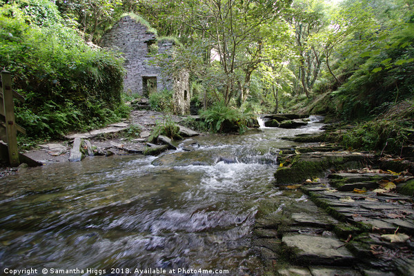Trethevy Mill Ruins, Rocky Valley, Tintagel,  Picture Board by Samantha Higgs