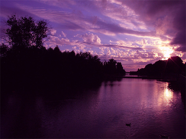 Purple Sunset Picture Board by Samantha Higgs