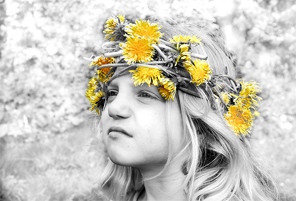 Talitha's Dandelion Crown Picture Board by Samantha Higgs