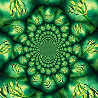 Buy canvas prints of Floral Kaleidoscope. by Rosanna Zavanaiu