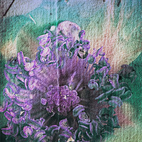 Buy canvas prints of Artsy Floral. by Rosanna Zavanaiu