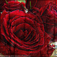Buy canvas prints of Love Roses. by Rosanna Zavanaiu