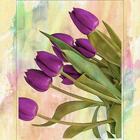 Buy canvas prints of Painterly Tulips by Rosanna Zavanaiu