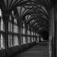 Buy canvas prints of Wells cathedral cloisters by Sean Wareing