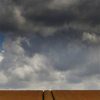 Buy canvas prints of Harvest Time by Sean Wareing