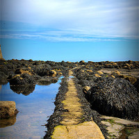 Buy canvas prints of Tidal Path by Sean Wareing