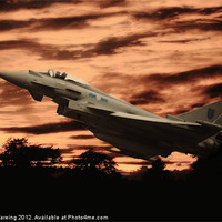 Buy canvas prints of Evening sortie by Sean Wareing
