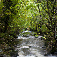 Buy canvas prints of October Stream by Sean Wareing