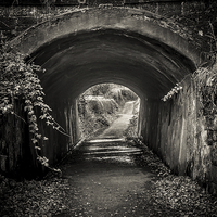 Buy canvas prints of The Tunnel by Sean Wareing