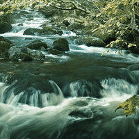 Buy canvas prints of The Stream II by Sean Wareing