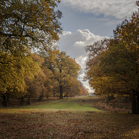 Buy canvas prints of Autumn View by Sean Wareing