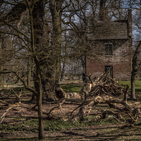 Buy canvas prints of The Woodcutters House by Sean Wareing