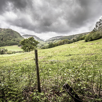 Buy canvas prints of Conwy Valley by Sean Wareing
