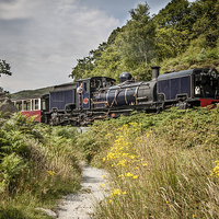 Buy canvas prints of  Welsh Highland Railway by Sean Wareing