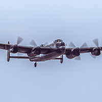 Buy canvas prints of The Lancaster Bomber  by Sean Wareing