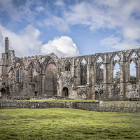 Buy canvas prints of  Bolton Abbey by Sean Wareing