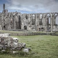 Buy canvas prints of  Abbey Ruins by Sean Wareing