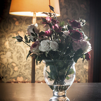 Buy canvas prints of  Vase of Roses by Sean Wareing