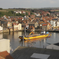 Buy canvas prints of  Whitby Harbour Tilt-Shift by Sean Wareing