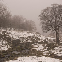 Buy canvas prints of  Winter at Dovestone by Sean Wareing