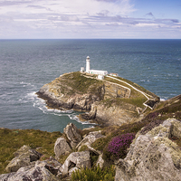Buy canvas prints of  South Stack by Sean Wareing