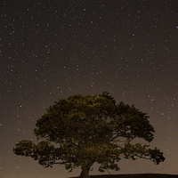 Buy canvas prints of  Starry Starry Night by Sean Wareing