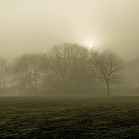 Buy canvas prints of A Foggy Morning by Sean Wareing