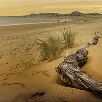 Buy canvas prints of Morfa Conwy Beach by Sean Wareing