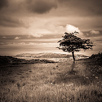 Buy canvas prints of Upon a Hill by Sean Wareing