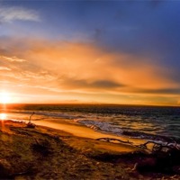 Buy canvas prints of Sunset and Driftwood by peter tachauer