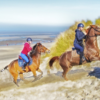 Buy canvas prints of  Horses on The Dunes by peter tachauer
