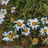 Buy canvas prints of Daisys in Van Gogh Style by Dawn O'Connor