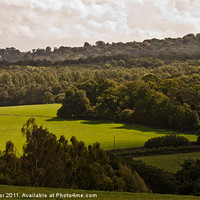 Buy canvas prints of The Green Fields, Sussex UK by Dawn O'Connor