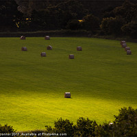 Buy canvas prints of Englands Green Fields by Dawn O'Connor