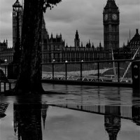 Buy canvas prints of Westminster Puddle, black and white by Dawn O'Connor