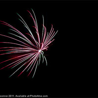 Buy canvas prints of Firework by Dawn O'Connor