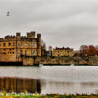 Buy canvas prints of Leeds Castle by Dawn O'Connor