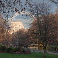 Buy canvas prints of St. James's Park and the London Eye by Dawn O'Connor