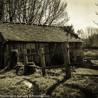 Buy canvas prints of Old Fashioned Shed by Dawn O'Connor