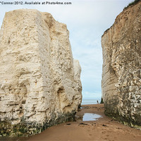 Buy canvas prints of Botany Bay by Dawn O'Connor