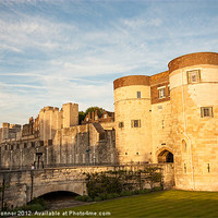 Buy canvas prints of The Tower of London by Dawn O'Connor