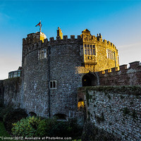 Buy canvas prints of Walmer Castle by Dawn O'Connor