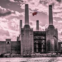 Buy canvas prints of Pink Floyd Pig at Battersea by Dawn O'Connor