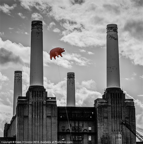 Pink Floyd Pig at Battersea Framed Mounted Print by Dawn O'Connor