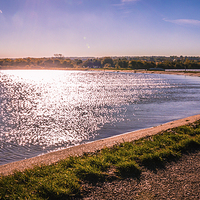 Buy canvas prints of Riverside Country Park Winter Sunshine by Dawn O'Connor